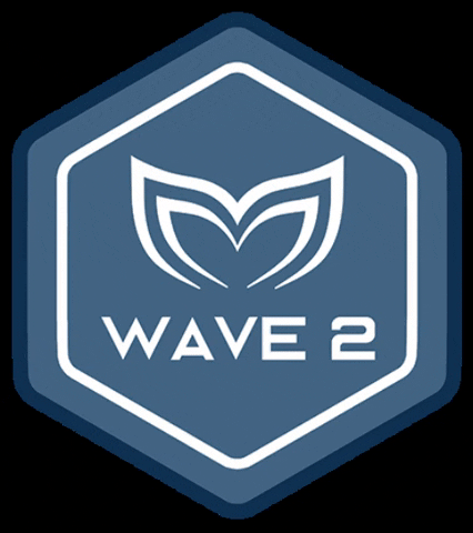 Wave2 GIF by Molchanovs