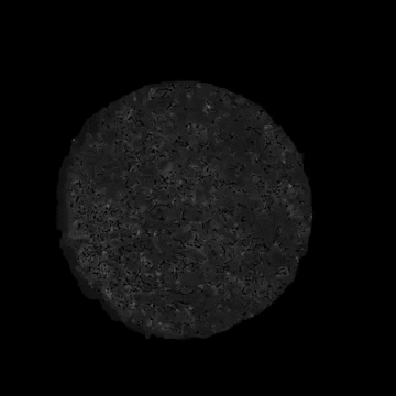 Stem Cells GIF