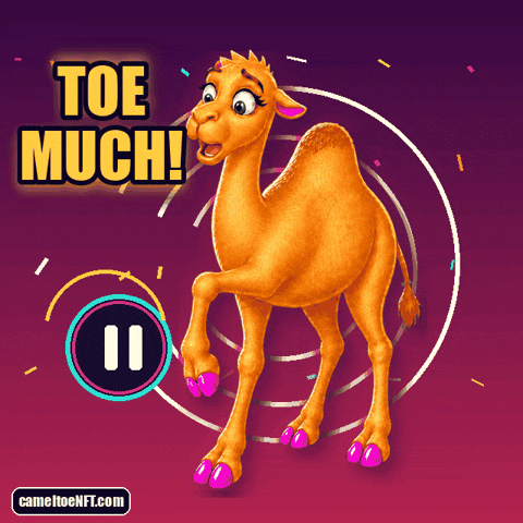 Too Much GIF by CamelToe