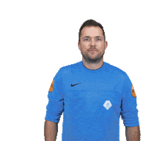 Z.V.V. Pelikaan Sticker