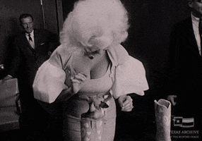 Jayne Mansfield Dog GIF by Texas Archive of the Moving Image
