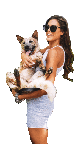 CAARE Rescue Sticker