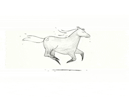 Horse Hopey GIF