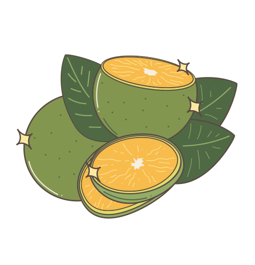 Fruit Lemon Sticker by Hai Philippines
