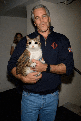 Epstein GIF