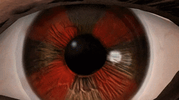 Último post gana, competencia extrema! - Página 5 200.gif?cid=7d74ad2ed2o25hj8lyt9ajph12x60oxwgjwb5gjjb9745rza&rid=200
