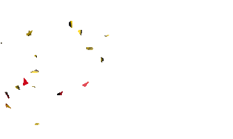 Meguiars Antalya Sticker by Meguiars