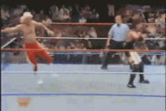 Wrestling Fail GIF