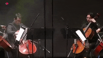 Cuarteto Piatti GIF