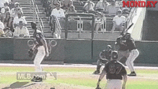 Randy Johnson Bird GIF by FirstAndMonday - Find & Share on GIPHY