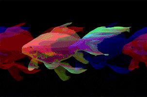 Glitch Goldfish GIF by Tara