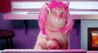 https://media0.giphy.com/media/lXiRzPb8C5JTJcfPq/200w.webp?cid=ecf05e47grkrhznhcth4868t4z6g5l2tha4nnu2b4k0x78bb&rid=200w.webp&ct=g