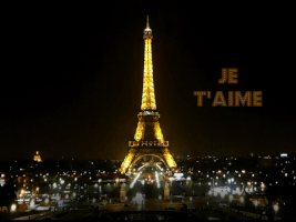 tizianabiondi paris parigi GIF