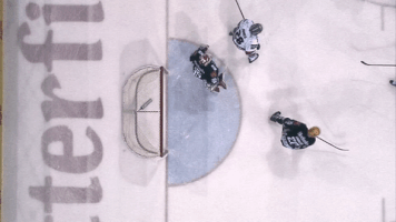 DEL-Redaktion  GIF