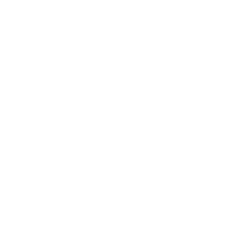 vsight Sticker