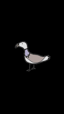 Pigeon Taube GIF by Cartoon.City
