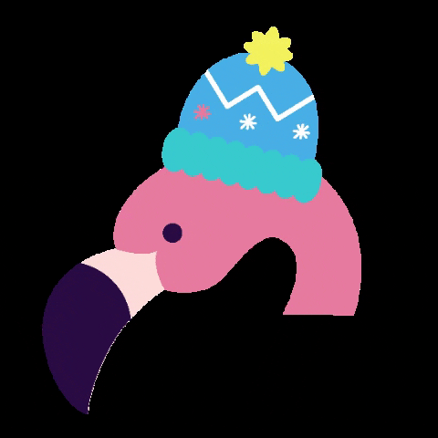 Colégio dos Arcos GIF