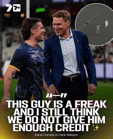 The Wizard 7Afl GIF
