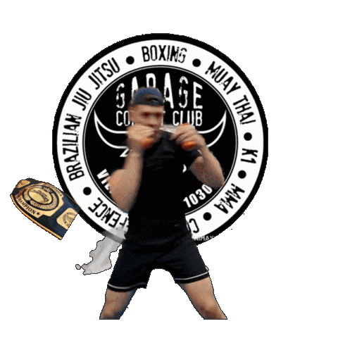 Harry Garage Sticker by GARAGEBOXING