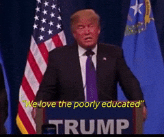 Trump Usa GIF