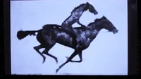 horse GIF