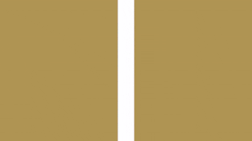 Creature Comforts Brewing Co. GIF