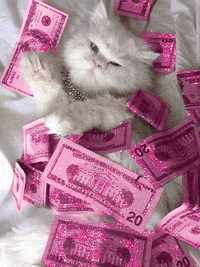 Featured image of post Aesthetic Money Gifs The perfect aesthetic money itshotinhere animated gif for your conversation