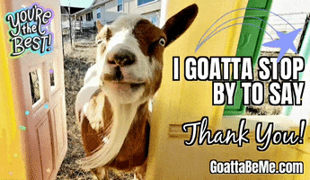 Youre The Best Thank U GIF by Goatta Be Me Goats! Adventures of Pumpkin, Cookie and Java!