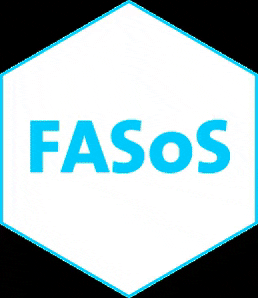 fasosmaastricht GIF