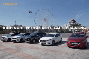 Thuê Xe Tự Lái Đà Nẵng GIF