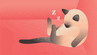 Digital art gif. A Siamese cat sits propped up against a wall with its head slumped. Not a single muscle is moving from the cat, and the text buzzes above it, reading, "Zzzz."