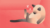 Digital art gif. A Siamese cat sits propped up against a wall with its head slumped. Not a single muscle is moving from the cat, and the text buzzes above it, reading, "Zzzz."