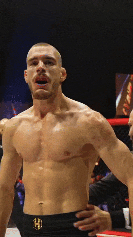 Ufc Mma GIF by Old School Academy