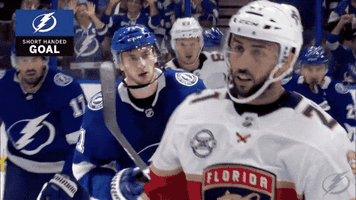 lets go hockey GIF by Tampa Bay Lightning