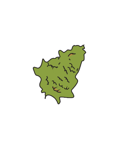 Cruuzy Sticker