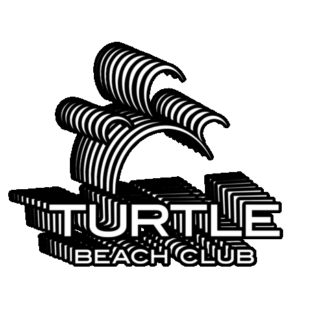 turtlebeachandora Sticker
