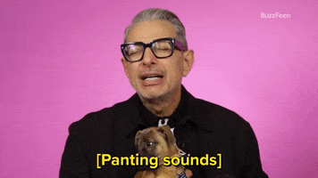 Jeff Goldblum Dog GIF by BuzzFeed