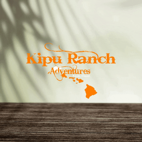 Friday Adventure GIF by KipuRanchAdventures