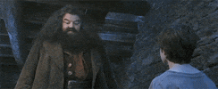 harry potter thank you GIF