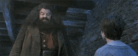 Happy Birthday Harry Potter Gifs Get The Best Gif On Giphy