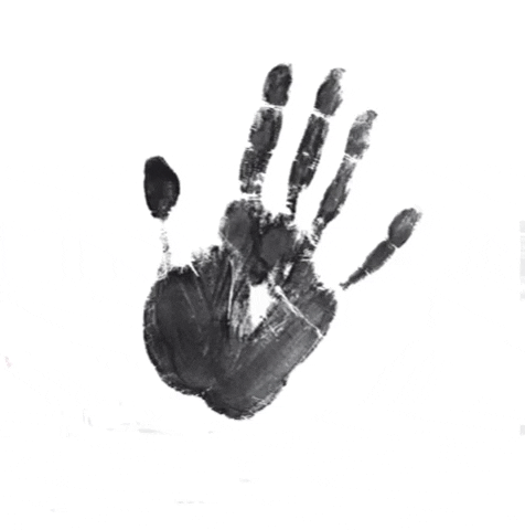 Bodegas Paco García GIF