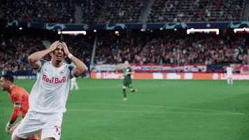 Angry Champions League GIF by FC Red Bull Salzburg