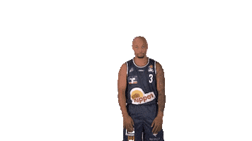 Sport Basketball Sticker by HAKRO Merlins Crailsheim