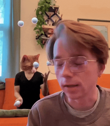 Cat What GIF