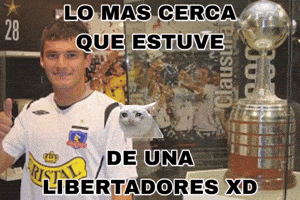 Charles Aranguiz Chile GIF