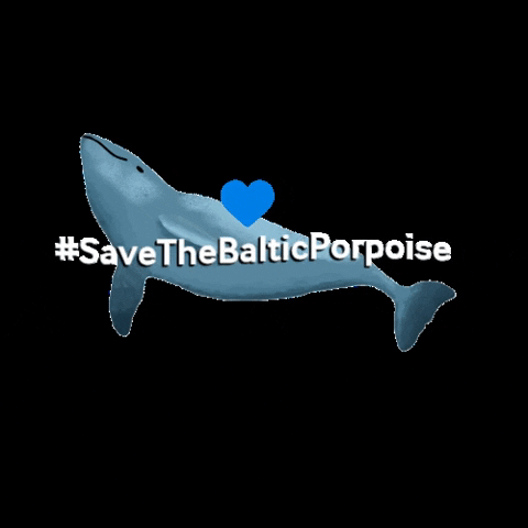CoalitionCleanBaltic ccb endangered species baltic sea harbour porpoise GIF