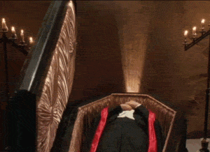Dracula Dead And Loving It GIF - Find & Share on GIPHY