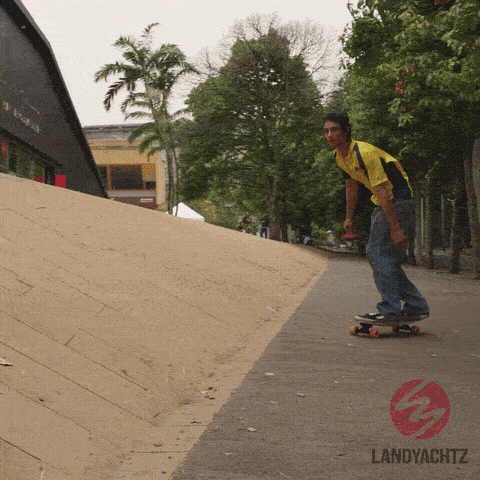 Longboard GIF by Landyachtz