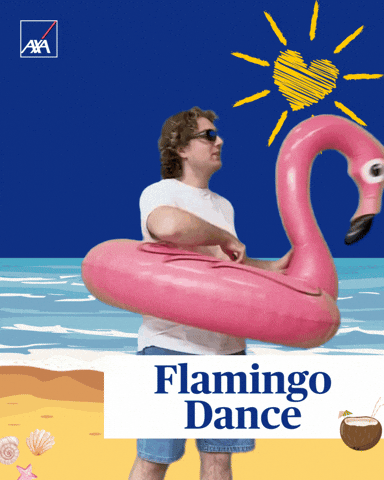 Flamingo Sommer GIF by AXA_Deutschland