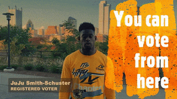 Red2Blue vote voting pittsburgh voter GIF